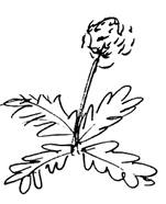 �Der arme Poet� (1839)
